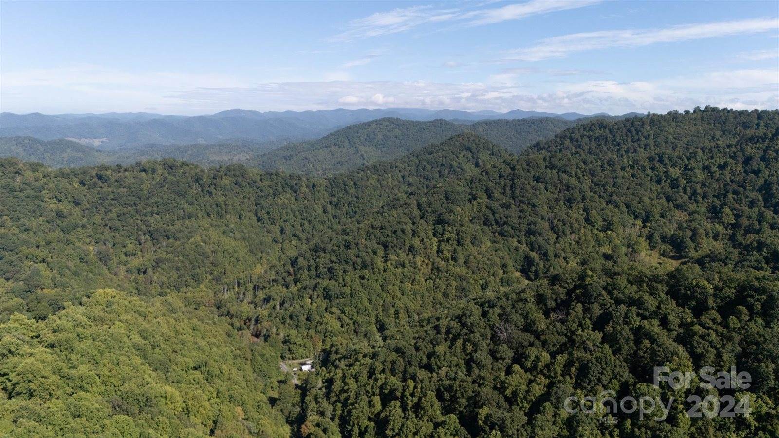 9999 Kelses Valley Drive, Mars Hill, NC 28754