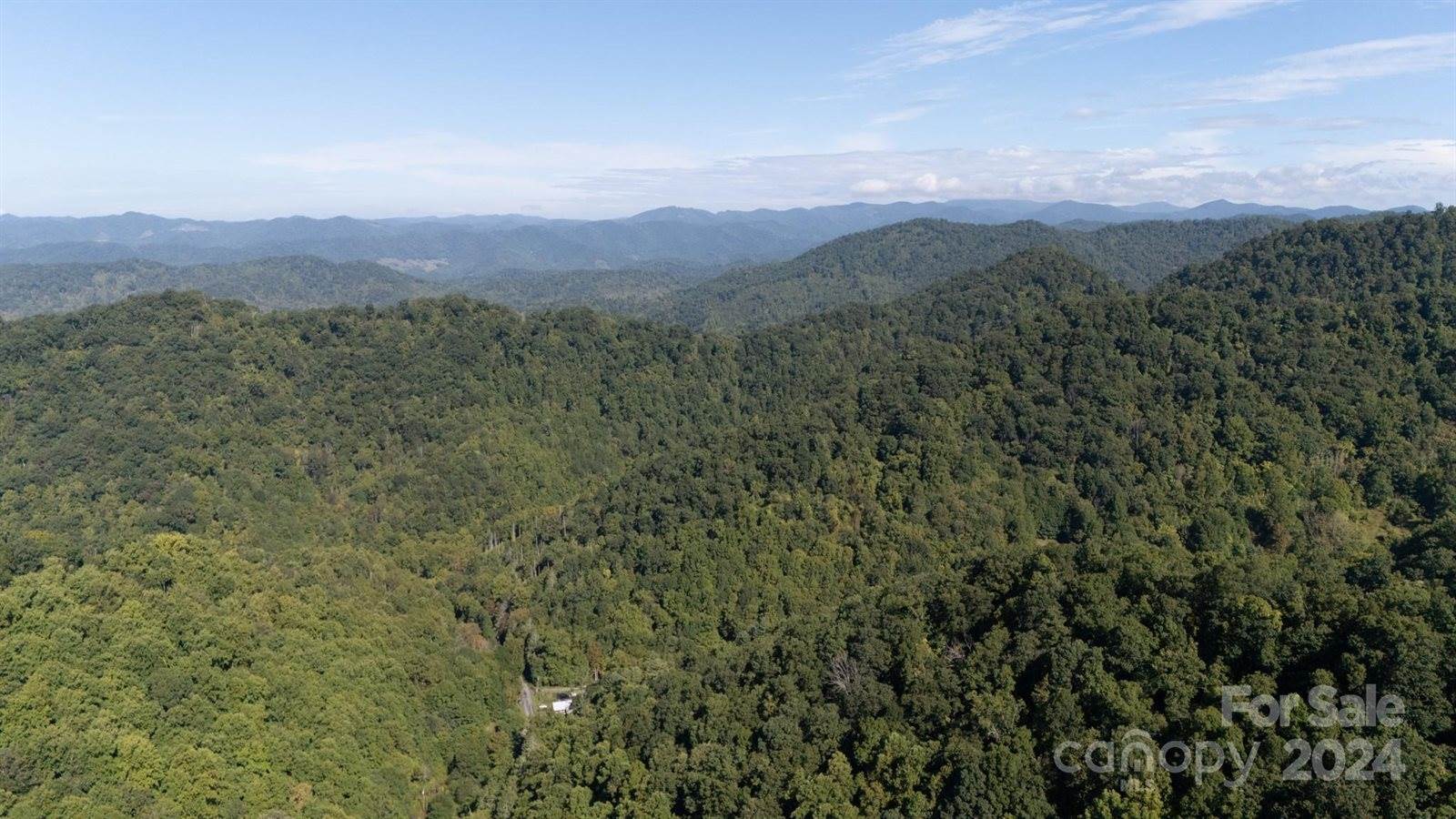 9999 Kelses Valley Drive, Mars Hill, NC 28754