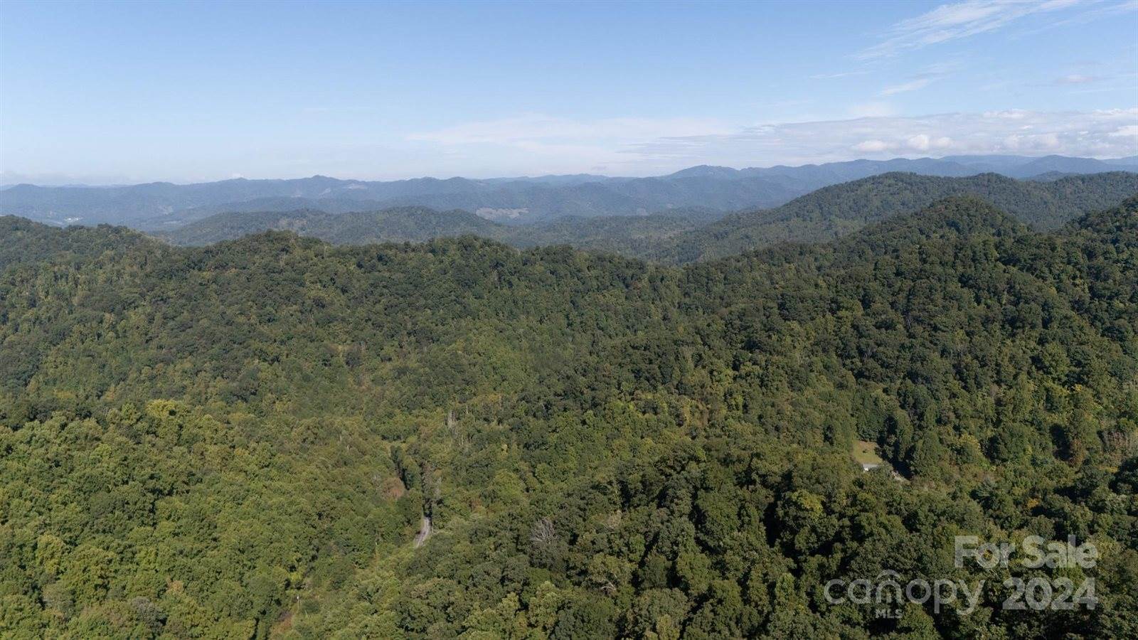 9999 Kelses Valley Drive, Mars Hill, NC 28754