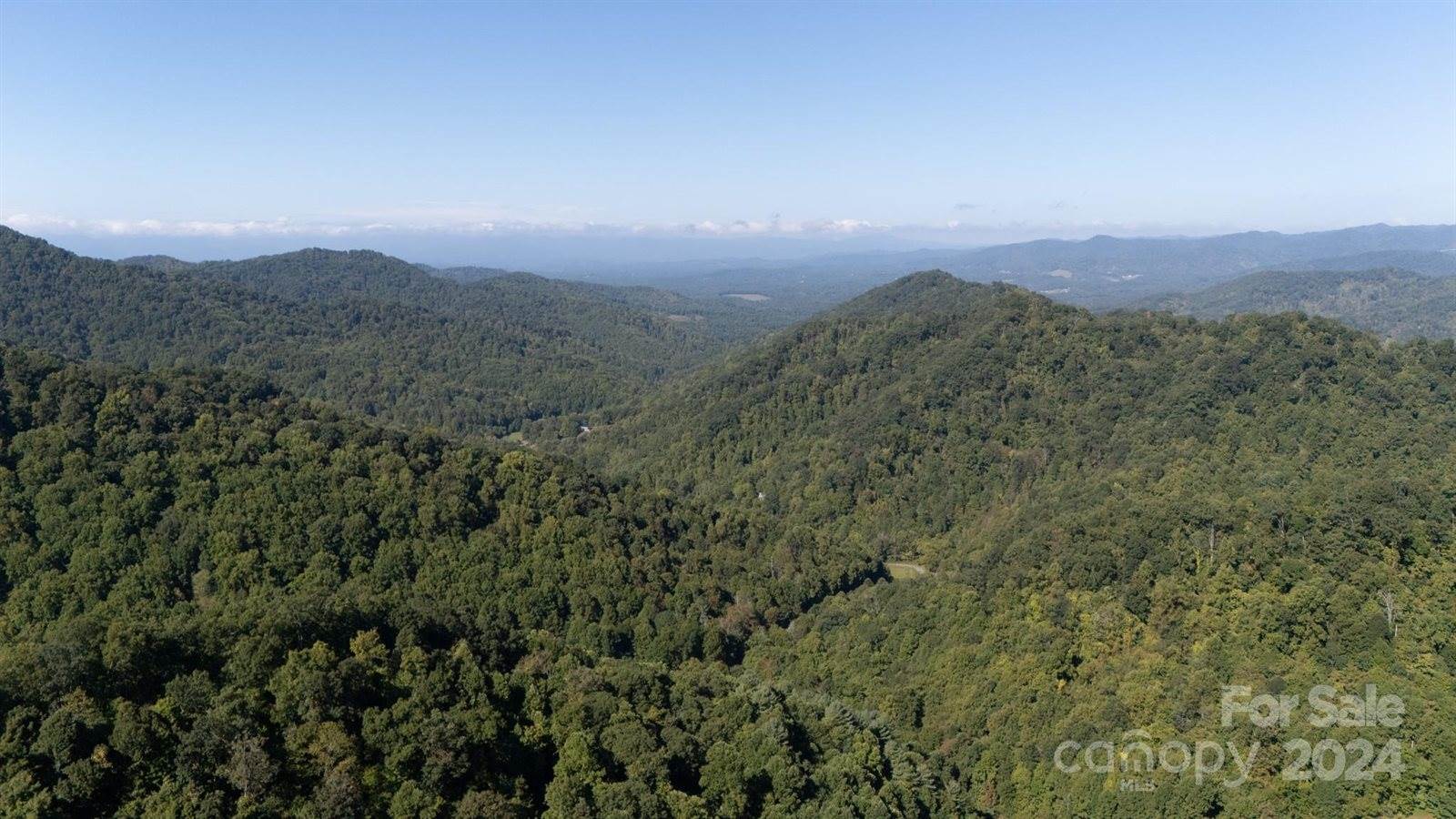 9999 Kelses Valley Drive, Mars Hill, NC 28754