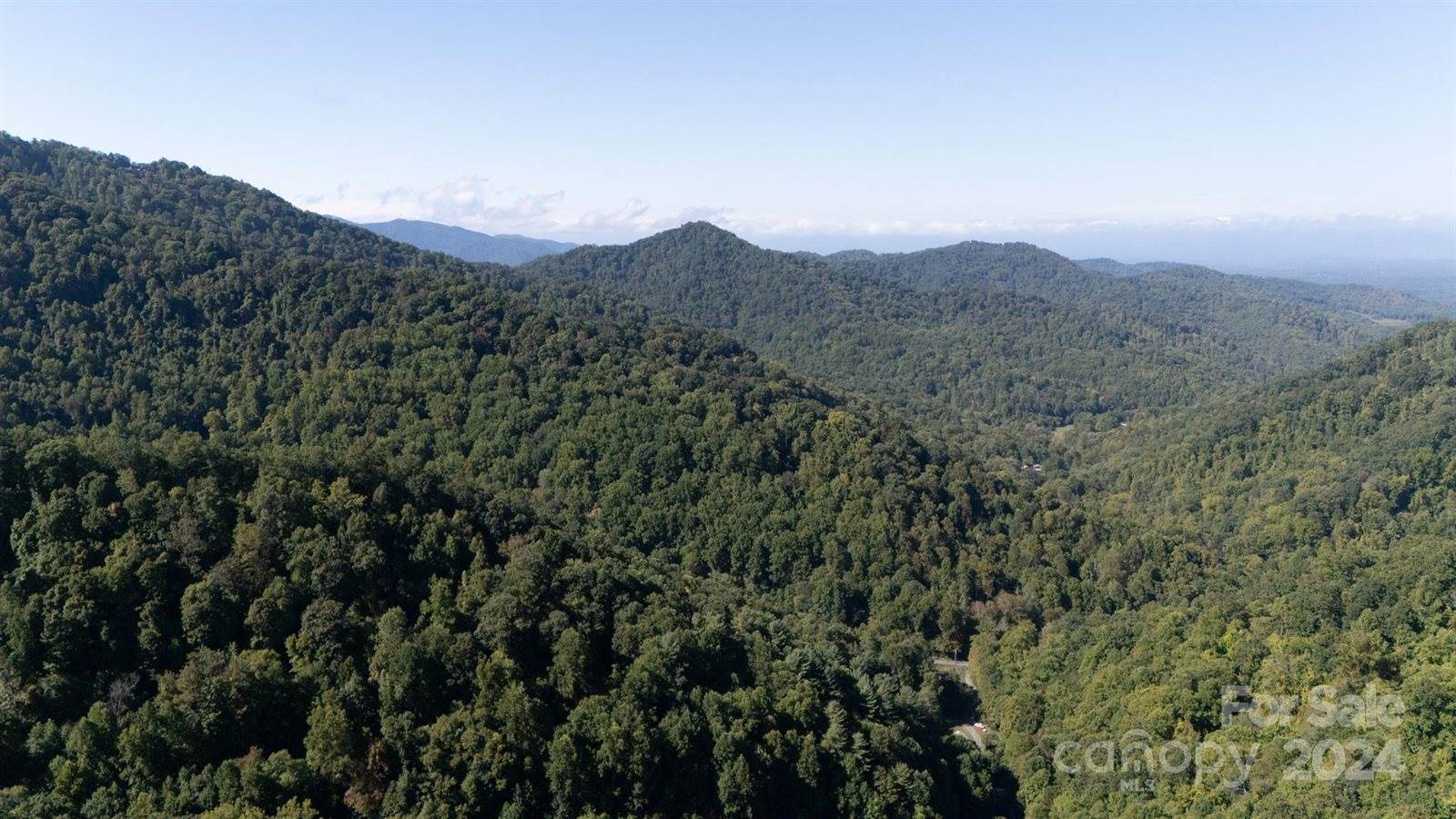 9999 Kelses Valley Drive, Mars Hill, NC 28754