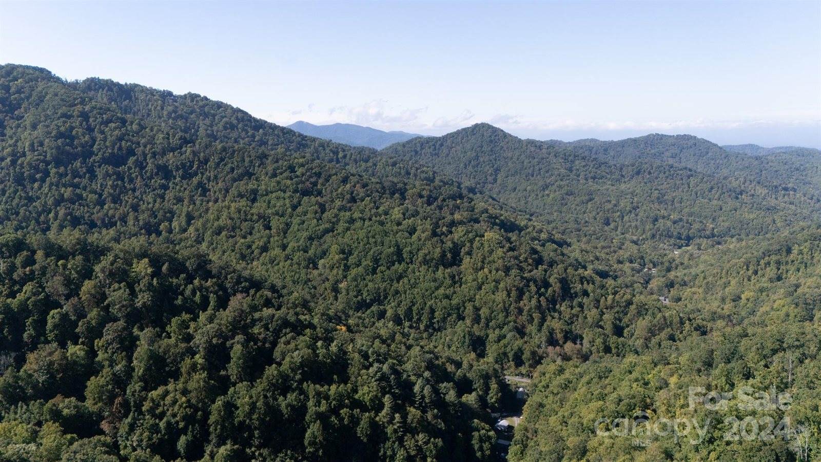 9999 Kelses Valley Drive, Mars Hill, NC 28754