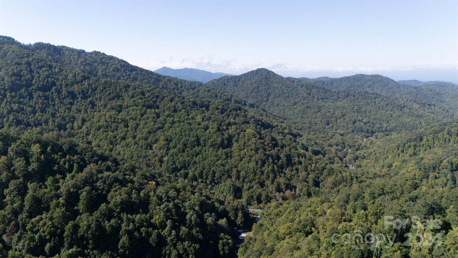 9999 Kelses Valley Drive, Mars Hill, NC 28754