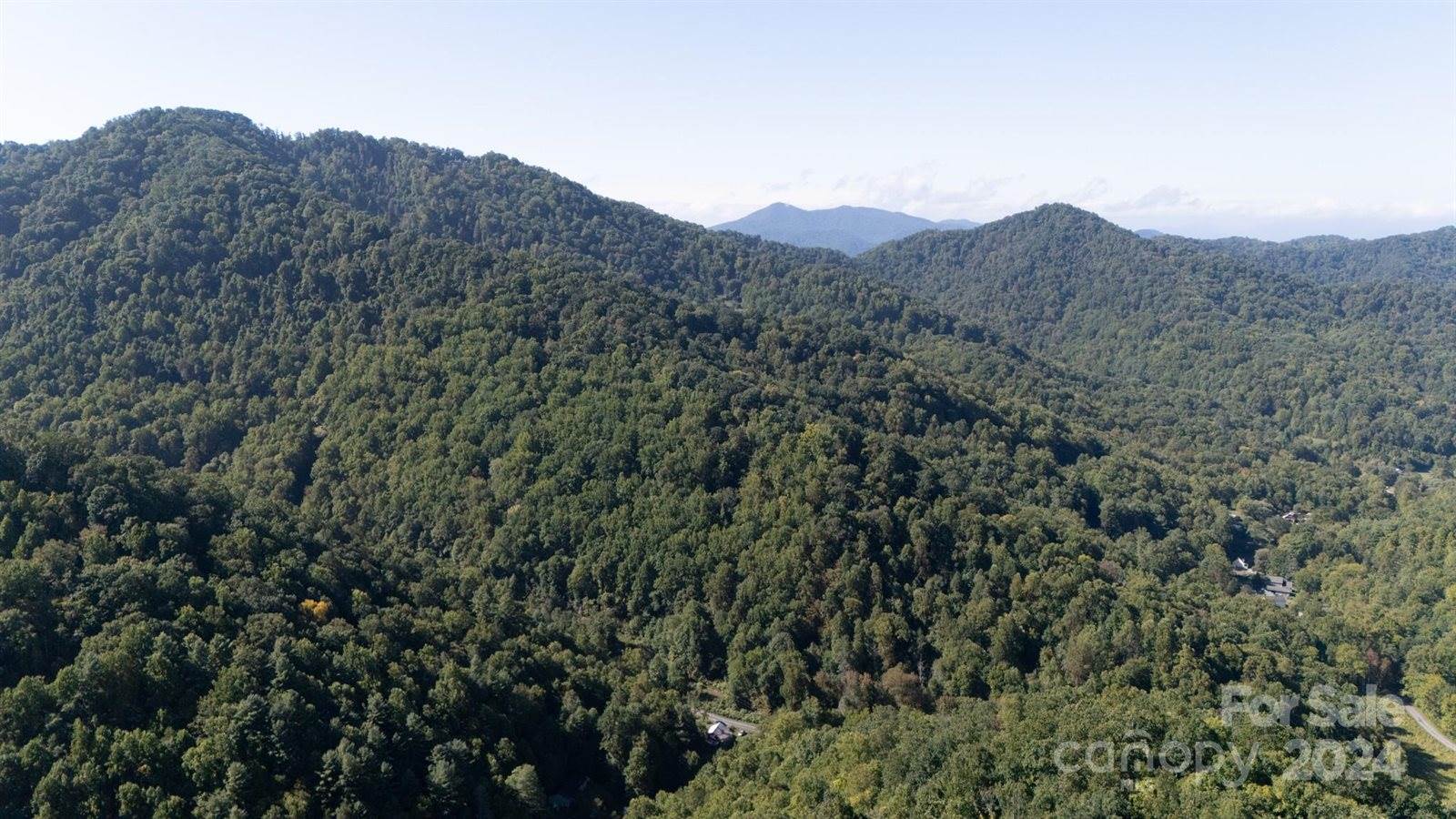 9999 Kelses Valley Drive, Mars Hill, NC 28754