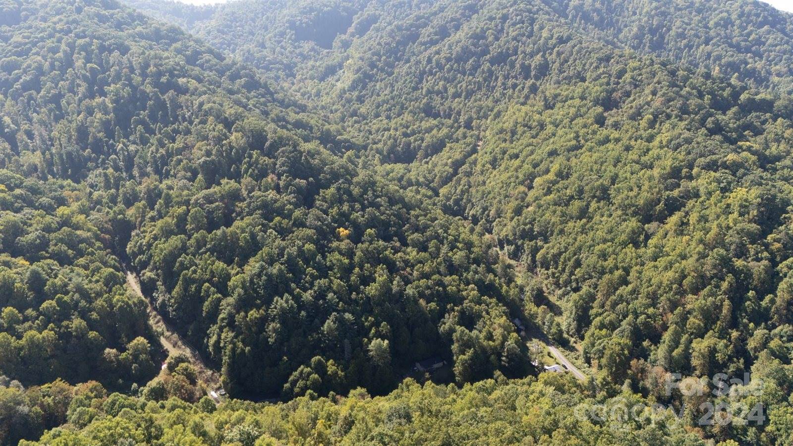 9999 Kelses Valley Drive, Mars Hill, NC 28754