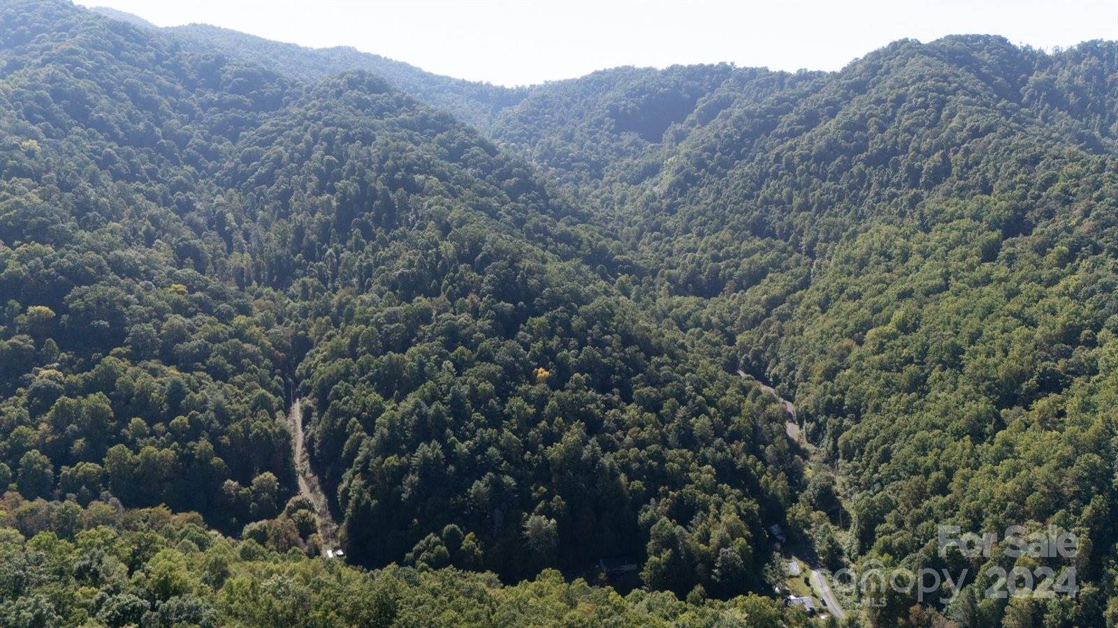 9999 Kelses Valley Drive, Mars Hill, NC 28754