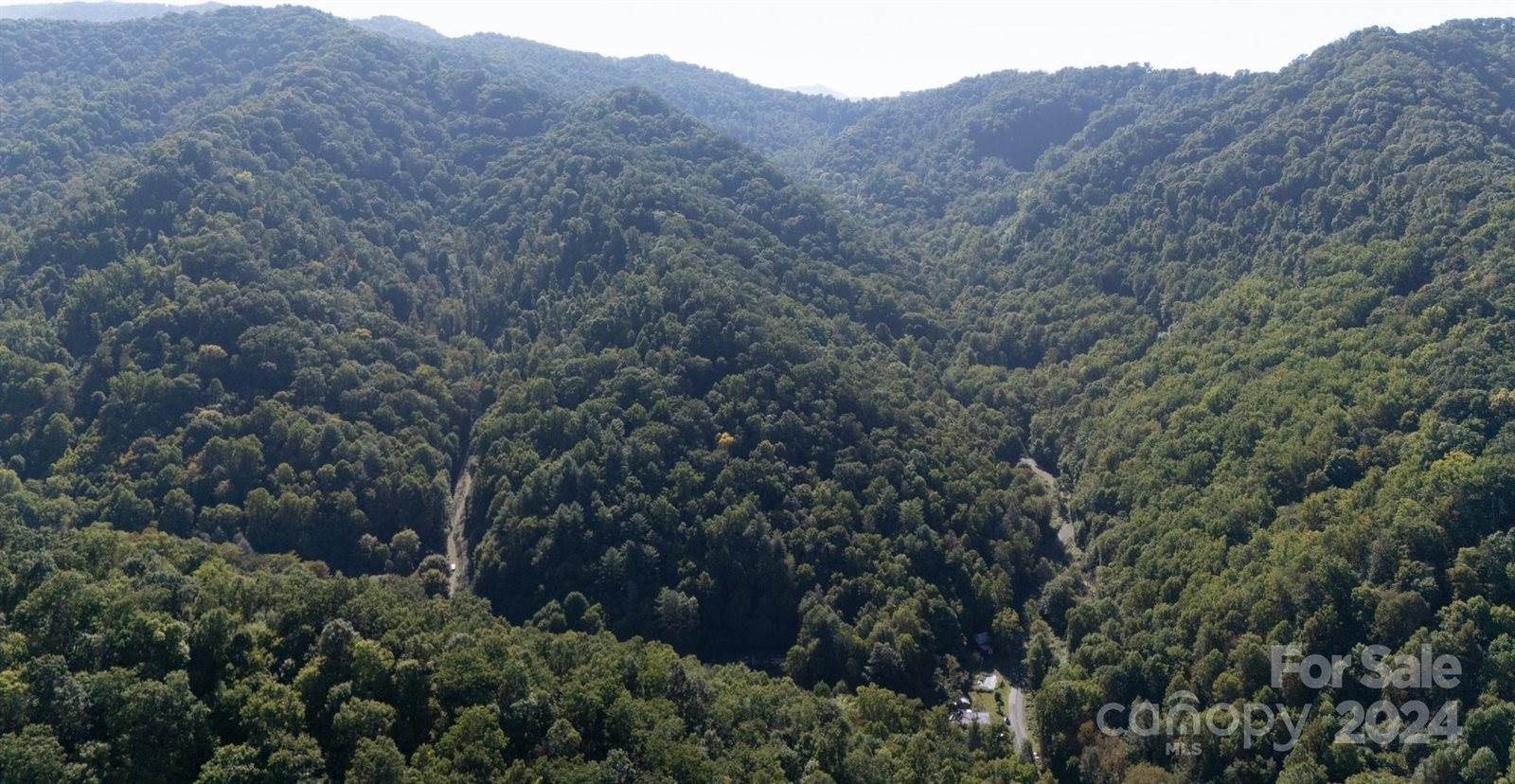 9999 Kelses Valley Drive, Mars Hill, NC 28754