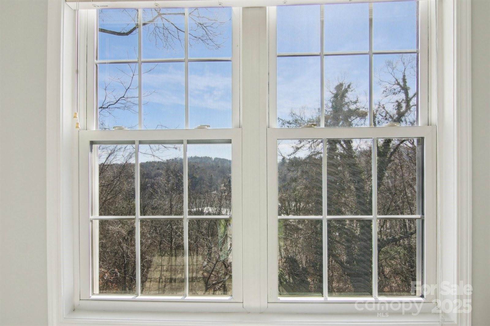 34 Grey River Run, Asheville, NC 28804