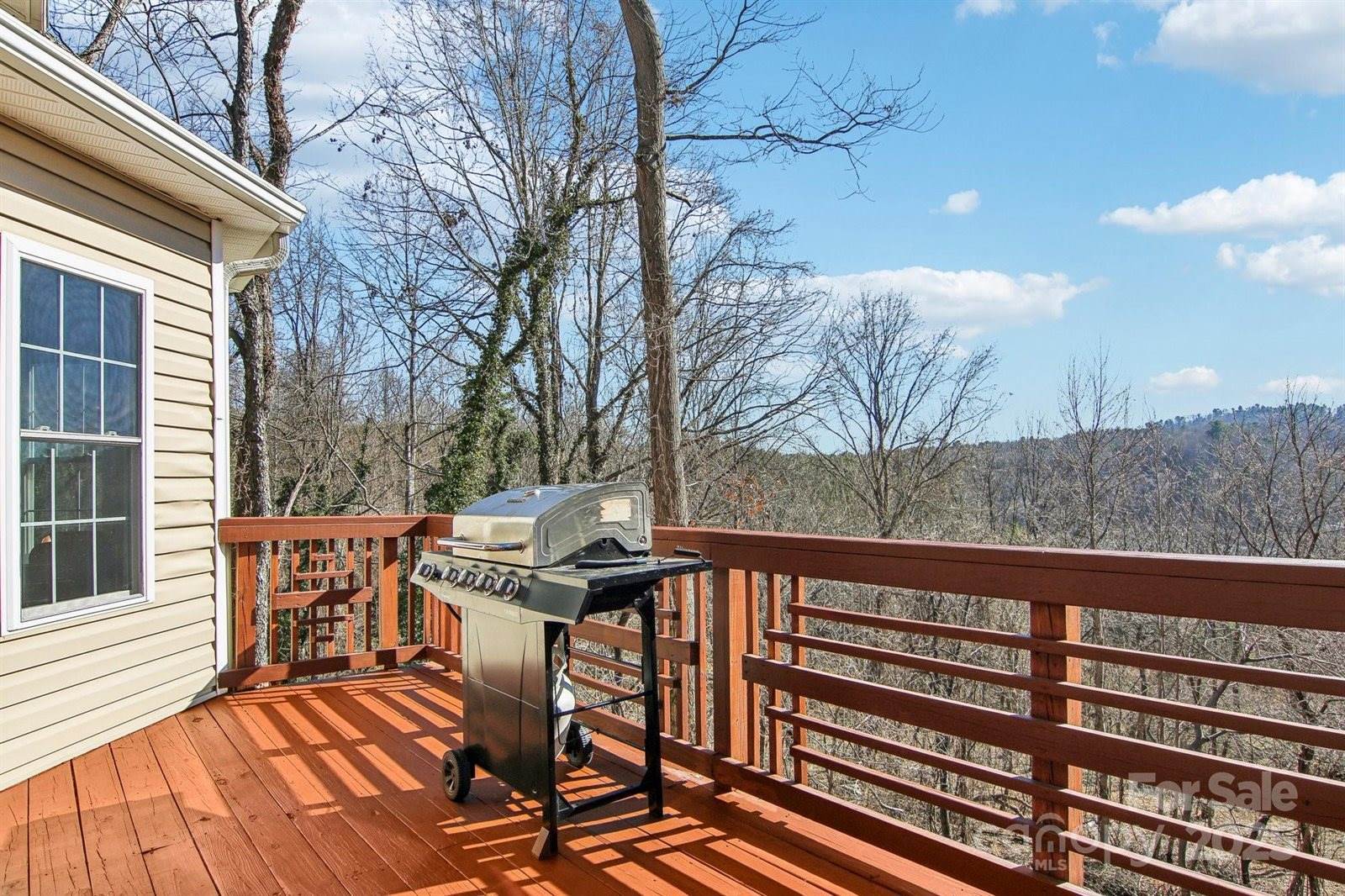 34 Grey River Run, Asheville, NC 28804