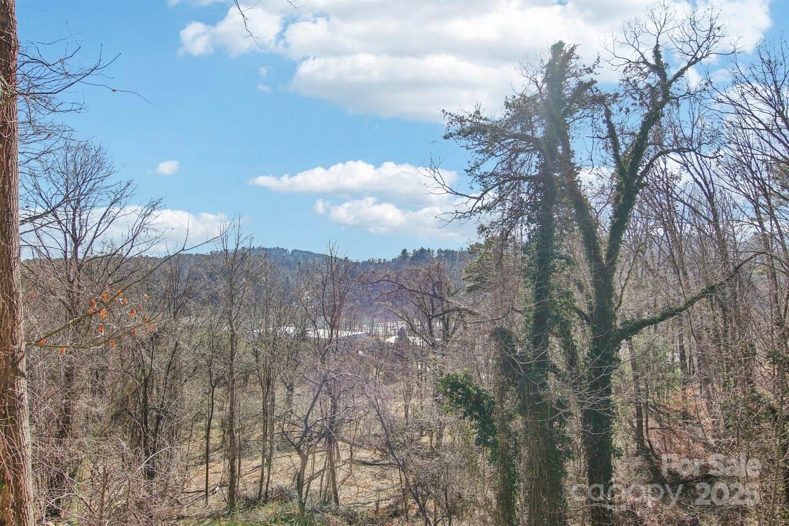 34 Grey River Run, Asheville, NC 28804