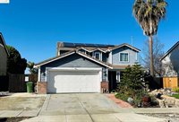 231 Brushwood Pl, Brentwood, CA 94513