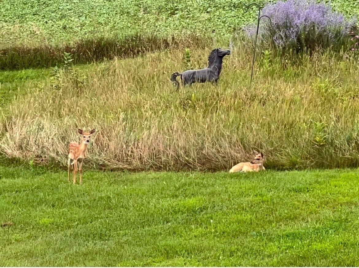 1052 East Dexter Trail, InghamTownship_Ingham, MI 48819