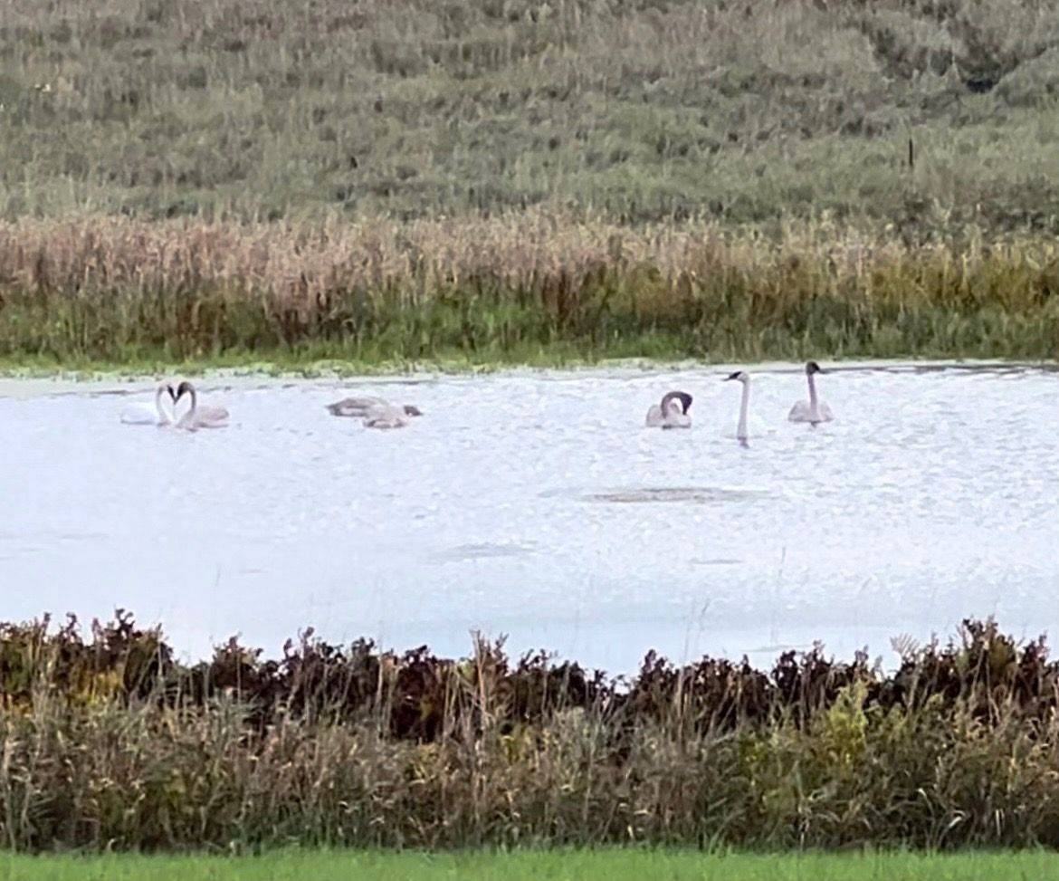 1052 East Dexter Trail, InghamTownship_Ingham, MI 48819