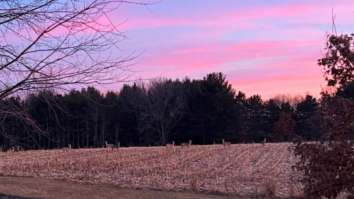 1052 East Dexter Trail, InghamTownship_Ingham, MI 48819