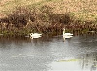 1052 East Dexter Trail, InghamTownship_Ingham, MI 48819