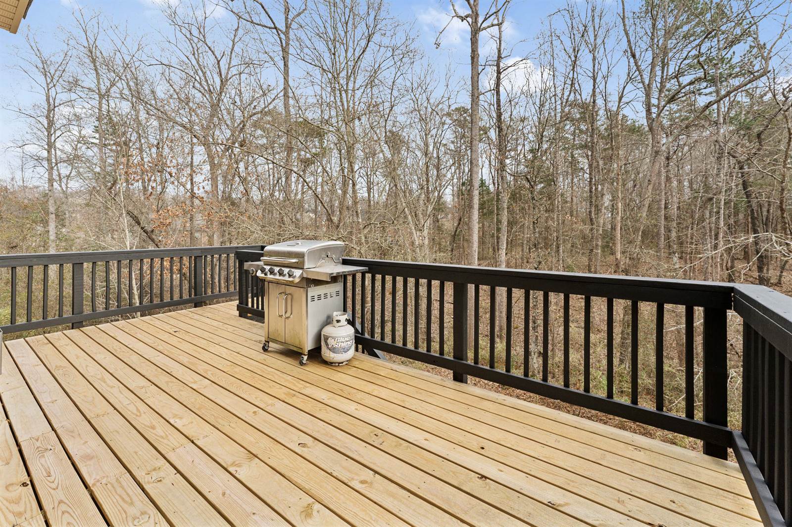 829 Palmetto Bay Drive, Fort Mill, SC 29715