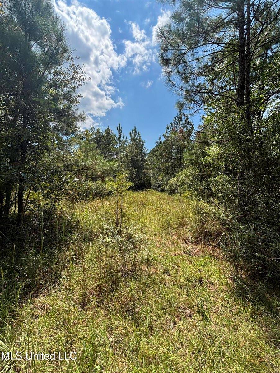 26614 Creek Cove, Perkinston, MS 39573