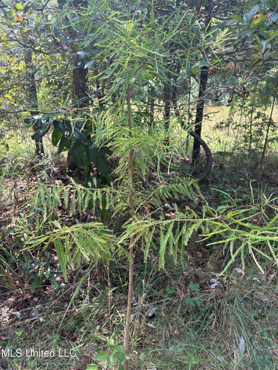 26614 Creek Cove, Perkinston, MS 39573