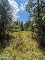 26614 Creek Cove, Perkinston, MS 39573