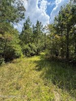 26614 Creek Cove, Perkinston, MS 39573