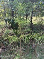 26614 Creek Cove, Perkinston, MS 39573