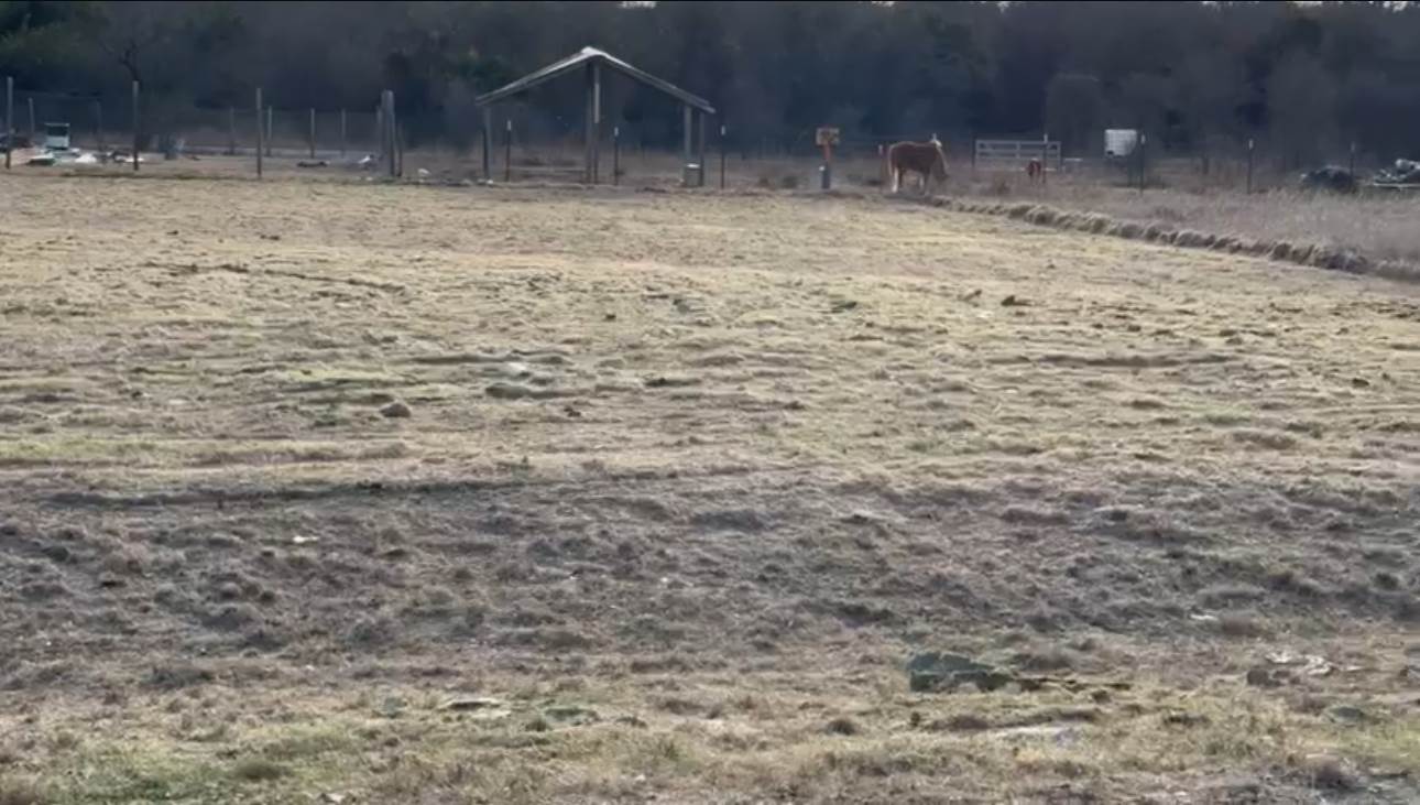 4509 Aberdeen Dr., Cresson, TX 76035