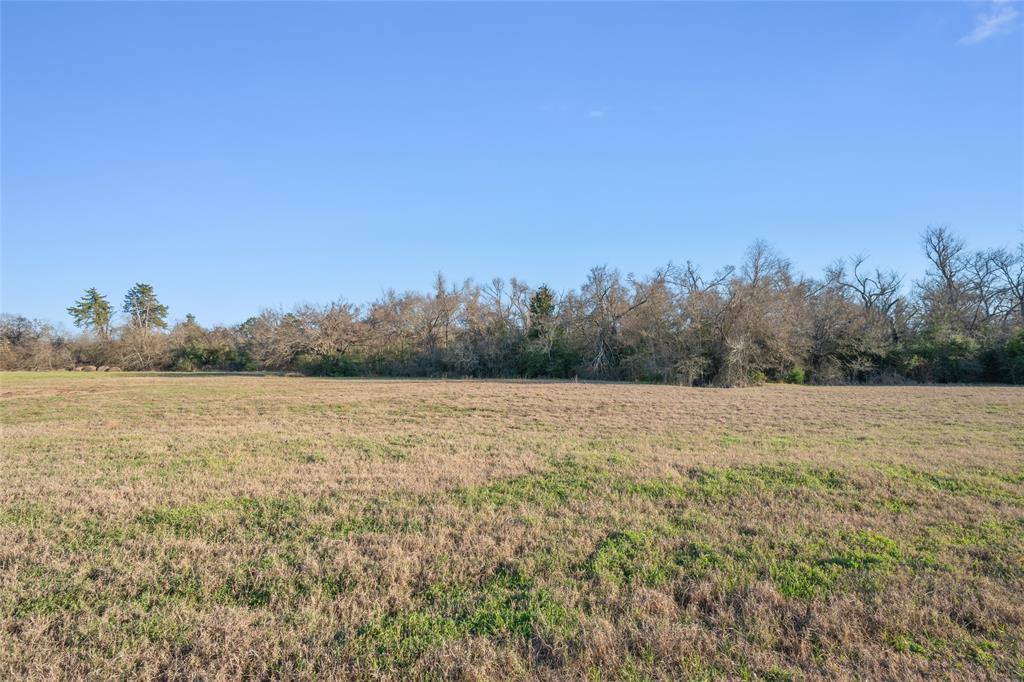 253 Dewey Lane, Franklin, TX 77856