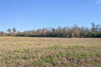 253 Dewey Lane, Franklin, TX 77856