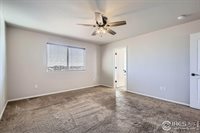 2055 Grain Bin Dr, Windsor, CO 80550