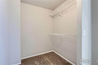 2055 Grain Bin Dr, Windsor, CO 80550