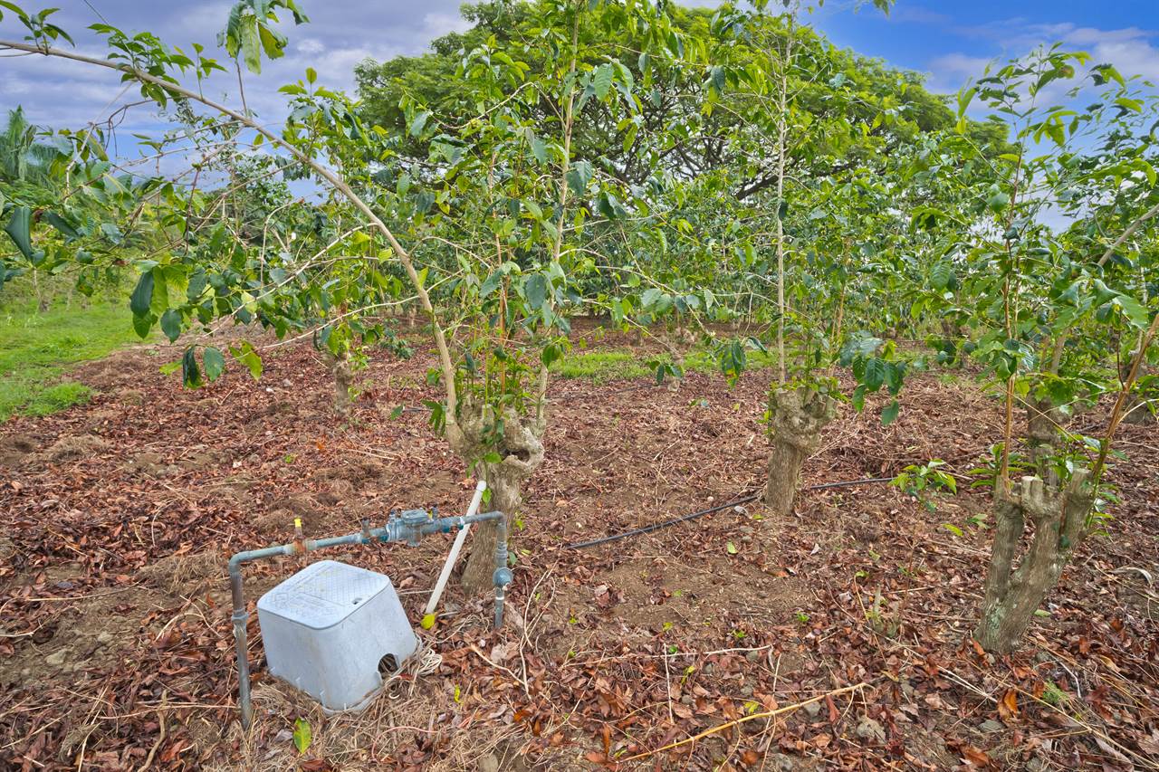 77-6223 Kaumalumalu Dr, Kauila-Kona, HI 96740