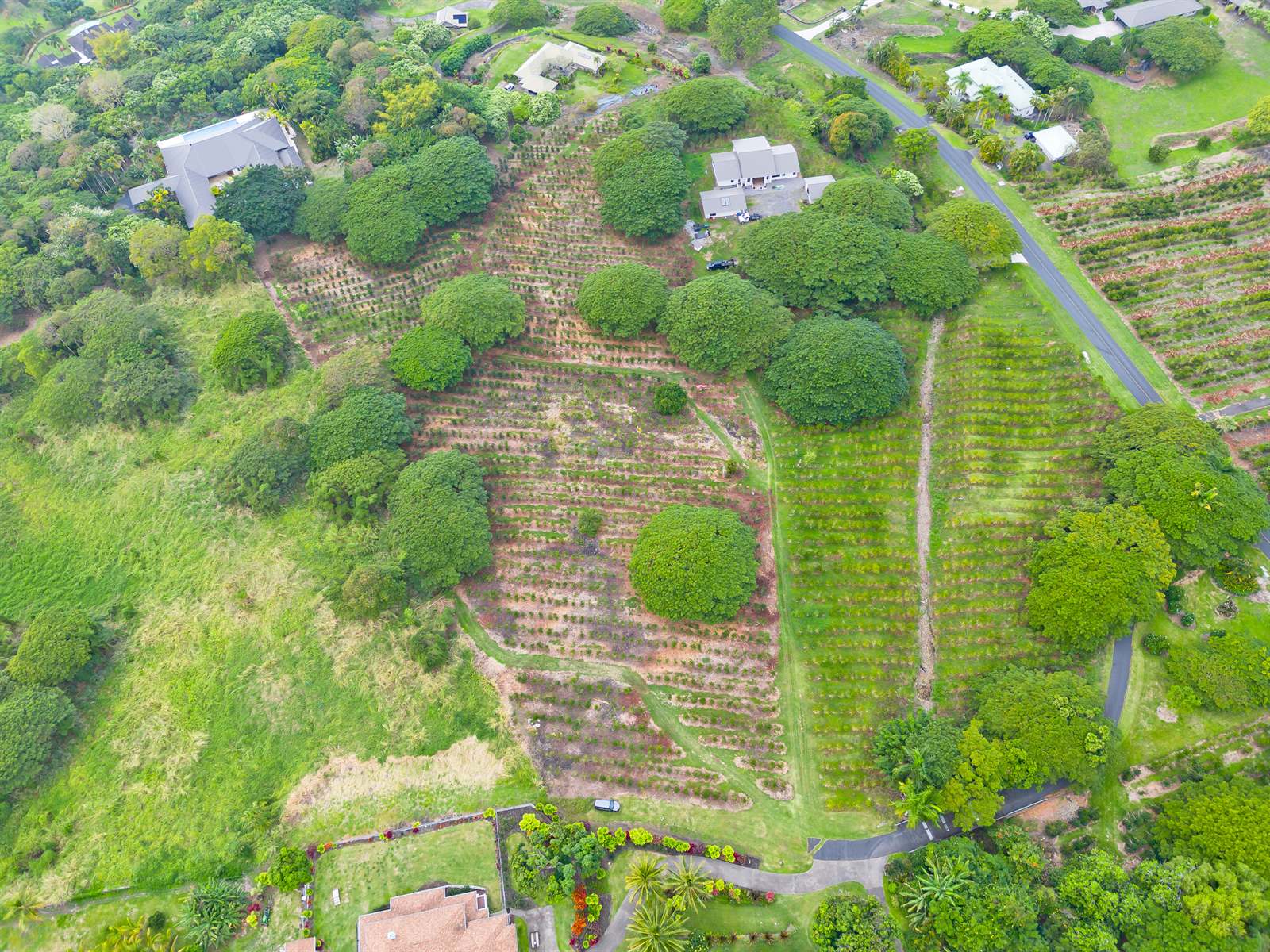 77-6223 Kaumalumalu Dr, Kauila-Kona, HI 96740