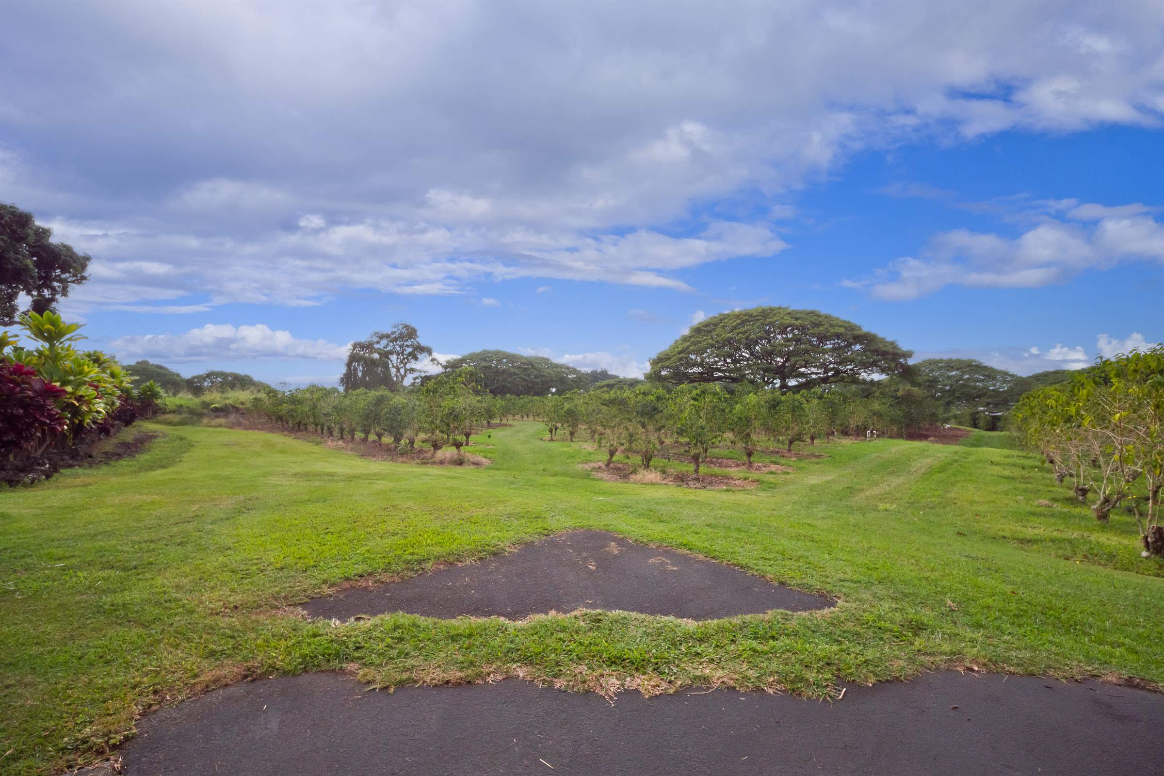 77-6223 Kaumalumalu Dr, Kauila-Kona, HI 96740