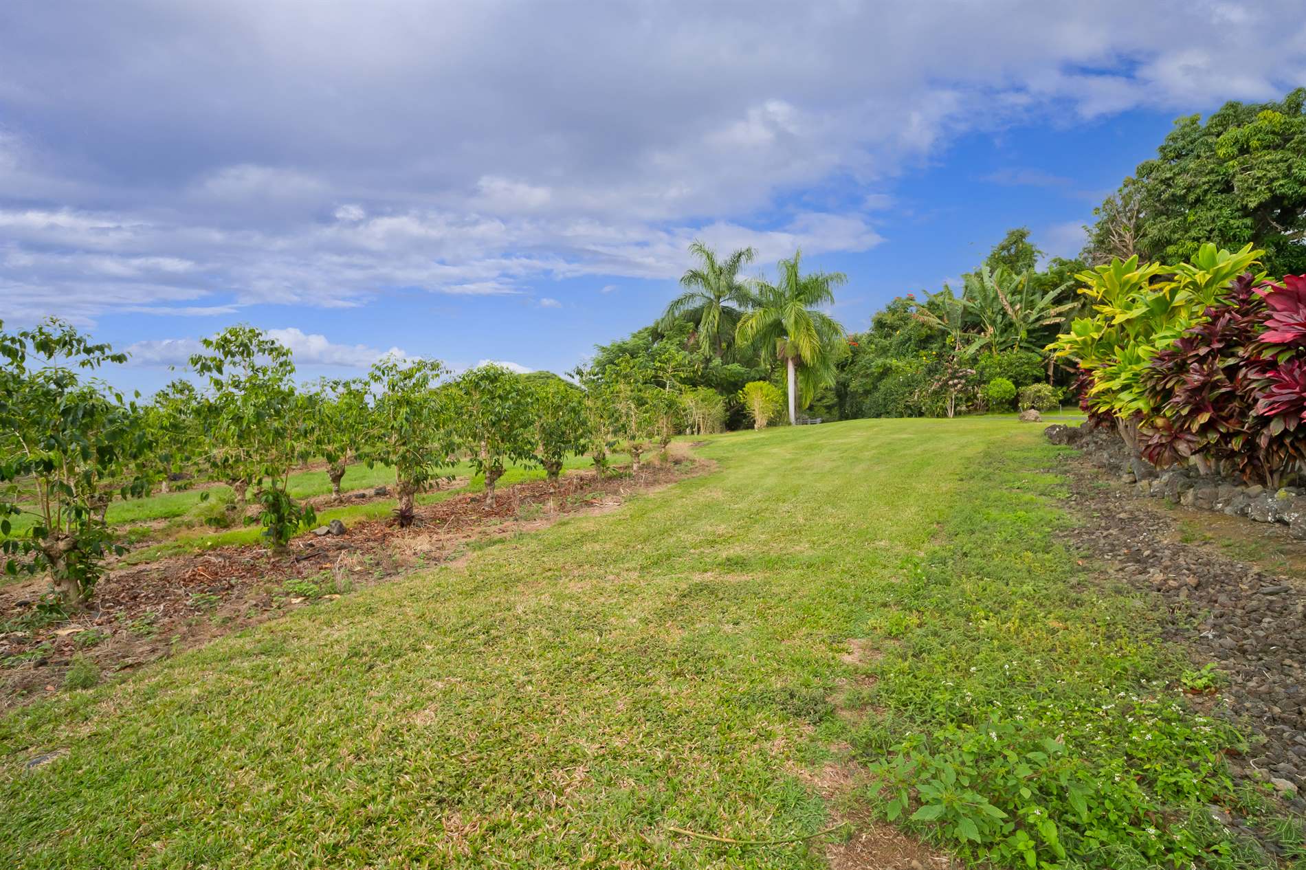 77-6223 Kaumalumalu Dr, Kauila-Kona, HI 96740