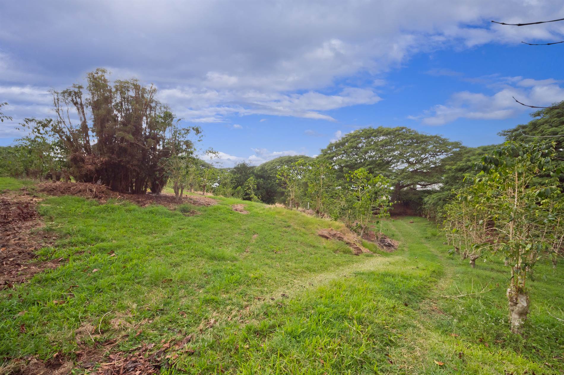 77-6223 Kaumalumalu Dr, Kauila-Kona, HI 96740