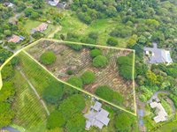 77-6223 Kaumalumalu Dr, Kauila-Kona, HI 96740