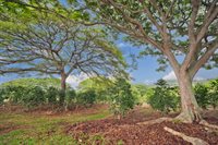 77-6223 Kaumalumalu Dr, Kauila-Kona, HI 96740