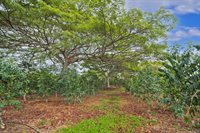 77-6223 Kaumalumalu Dr, Kauila-Kona, HI 96740