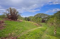 77-6223 Kaumalumalu Dr, Kauila-Kona, HI 96740