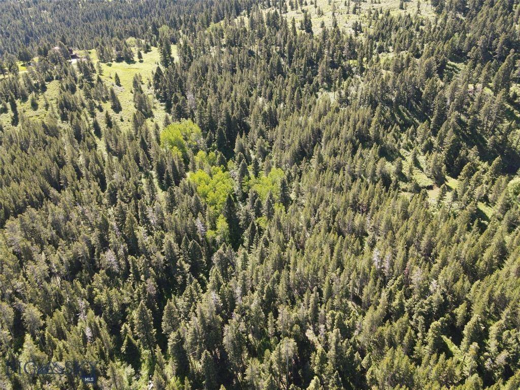 770 Mountain Moose Road, Bozeman, MT 59715