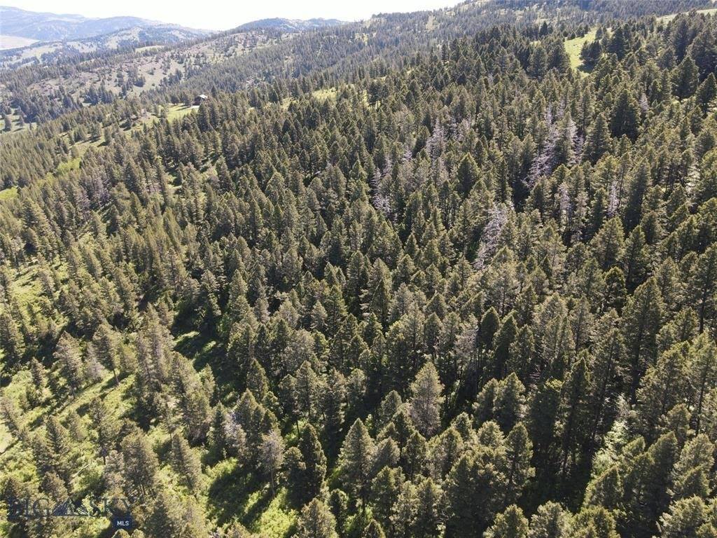 770 Mountain Moose Road, Bozeman, MT 59715