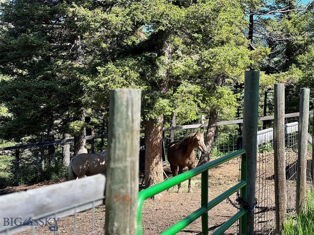 770 Mountain Moose Road, Bozeman, MT 59715