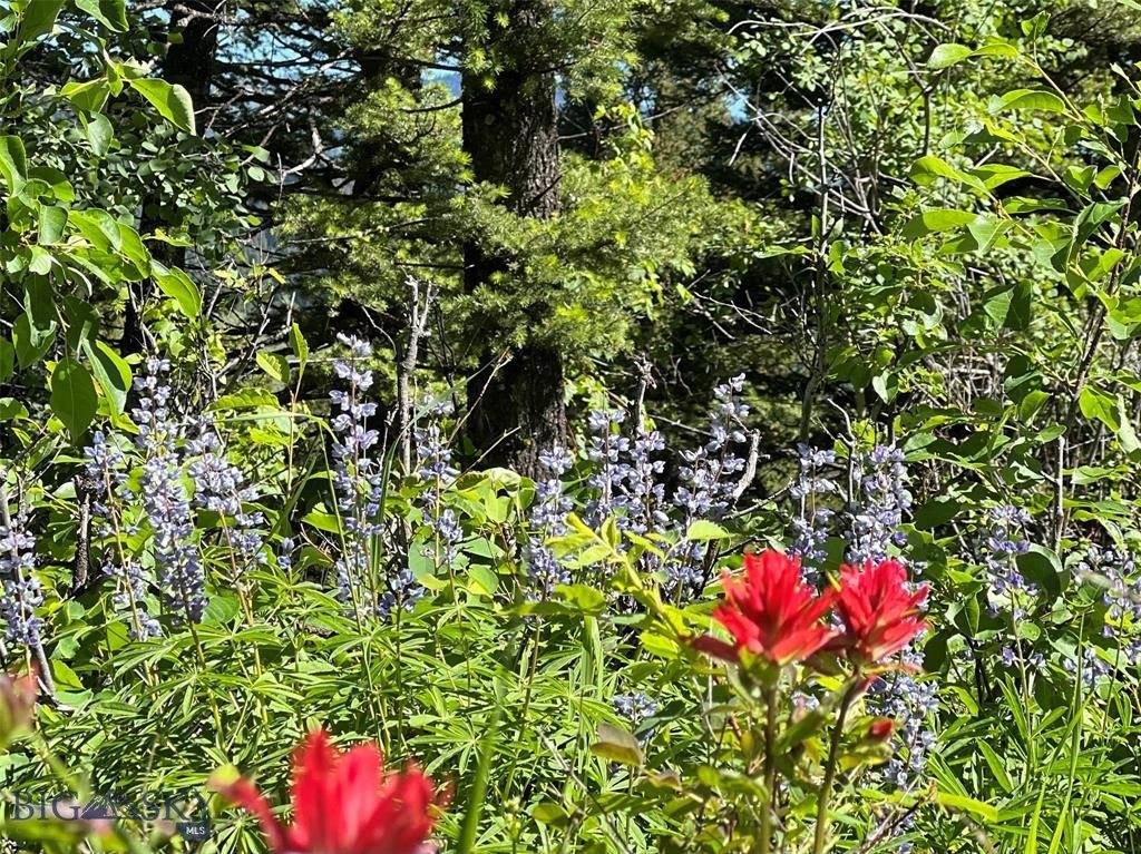 770 Mountain Moose Road, Bozeman, MT 59715