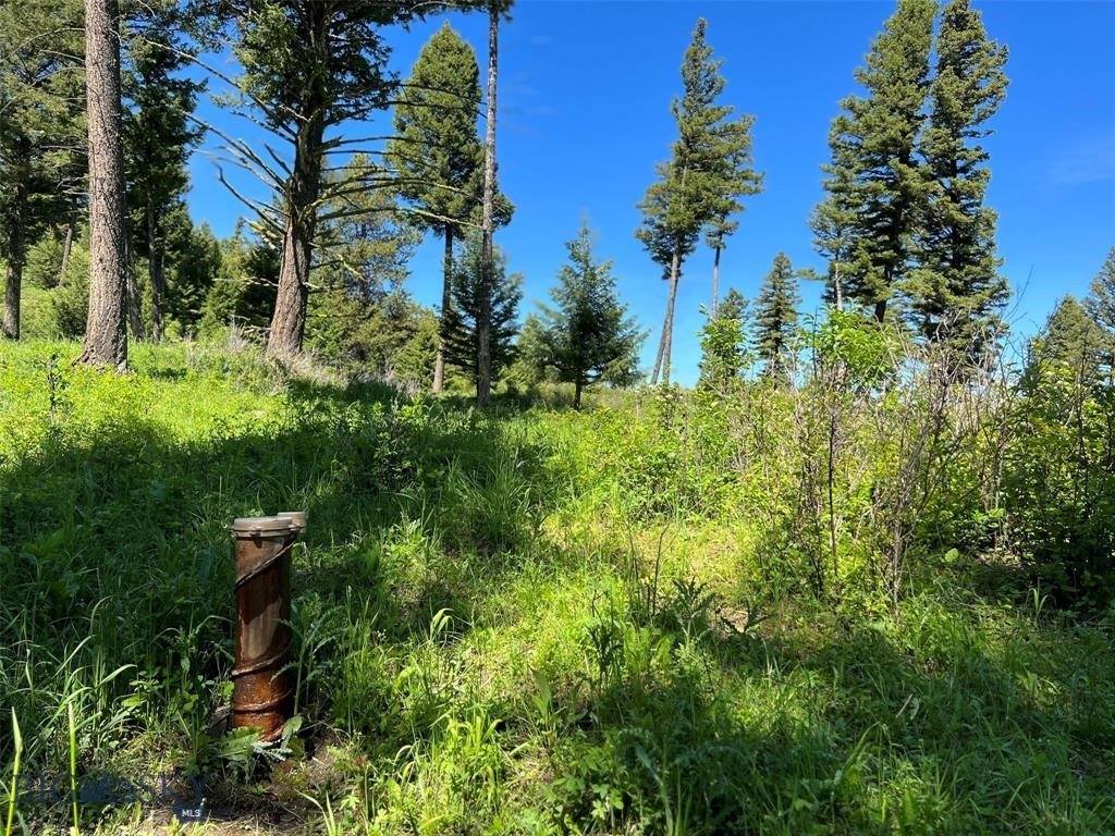 770 Mountain Moose Road, Bozeman, MT 59715