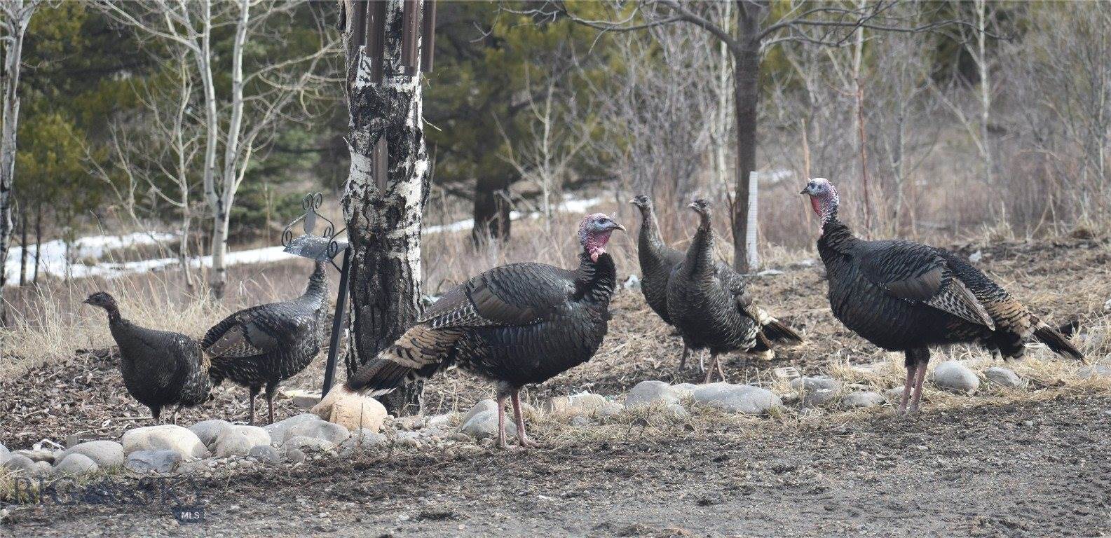 770 Mountain Moose Road, Bozeman, MT 59715