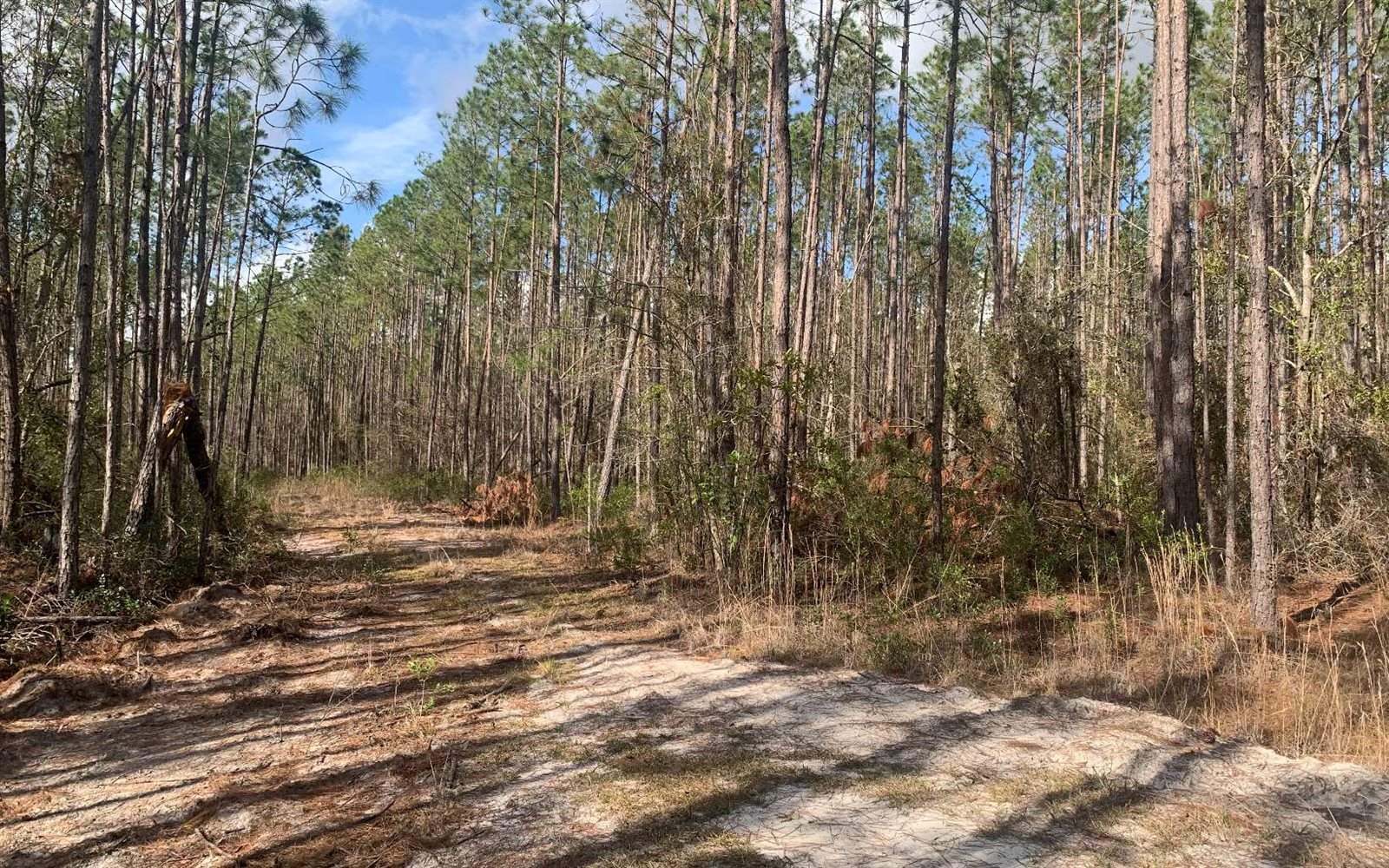 TDB NE 25TH Dr, Jasper, FL 32052