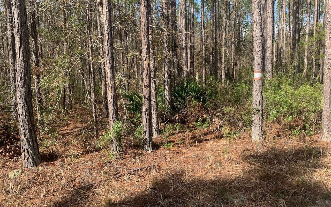 TDB NE 25TH Dr, Jasper, FL 32052