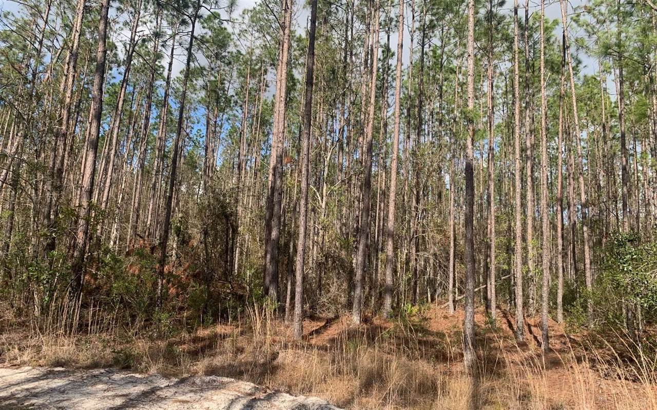 TDB NE 25TH Dr, Jasper, FL 32052