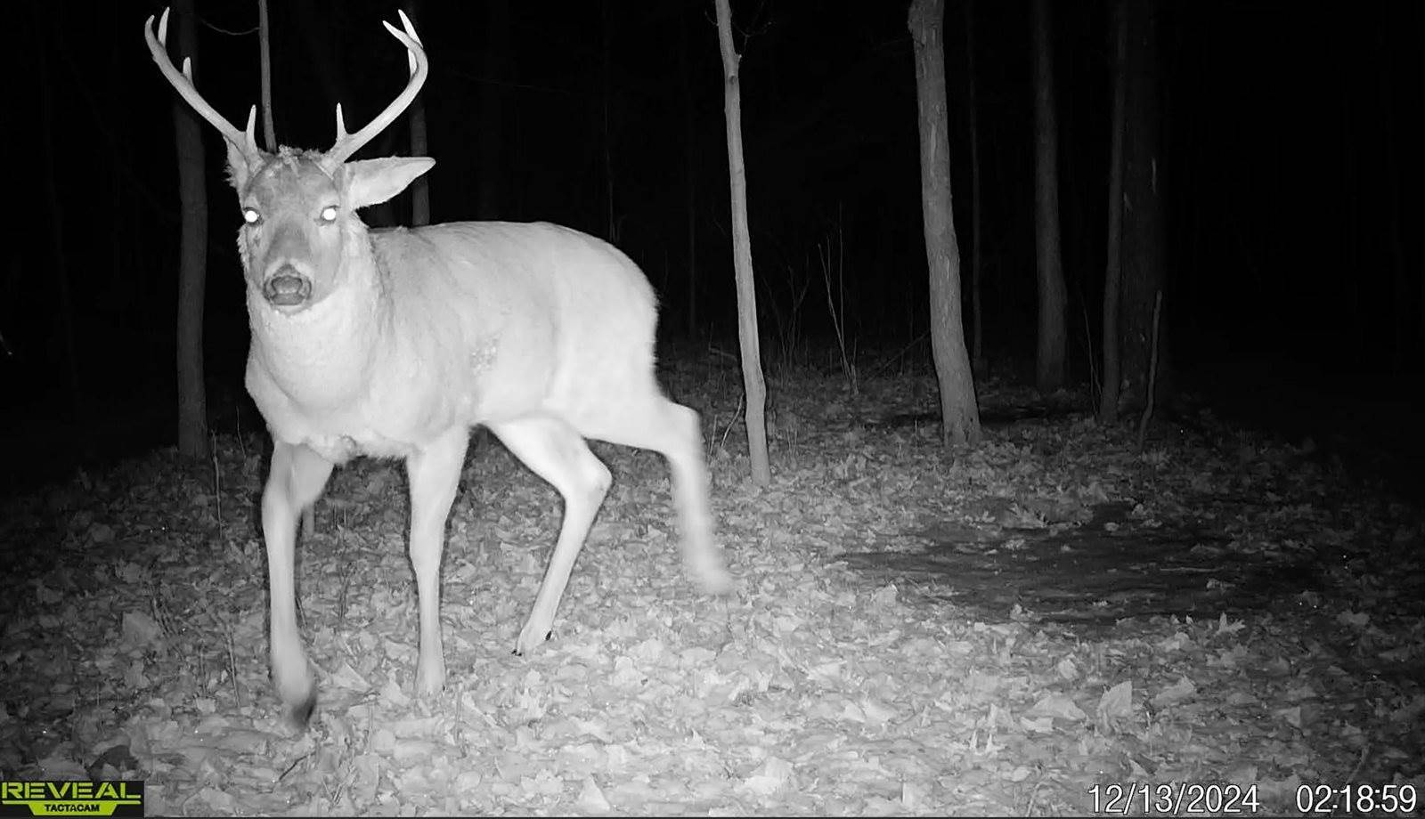 N3912 County Rd S, Plymouth, WI 53073