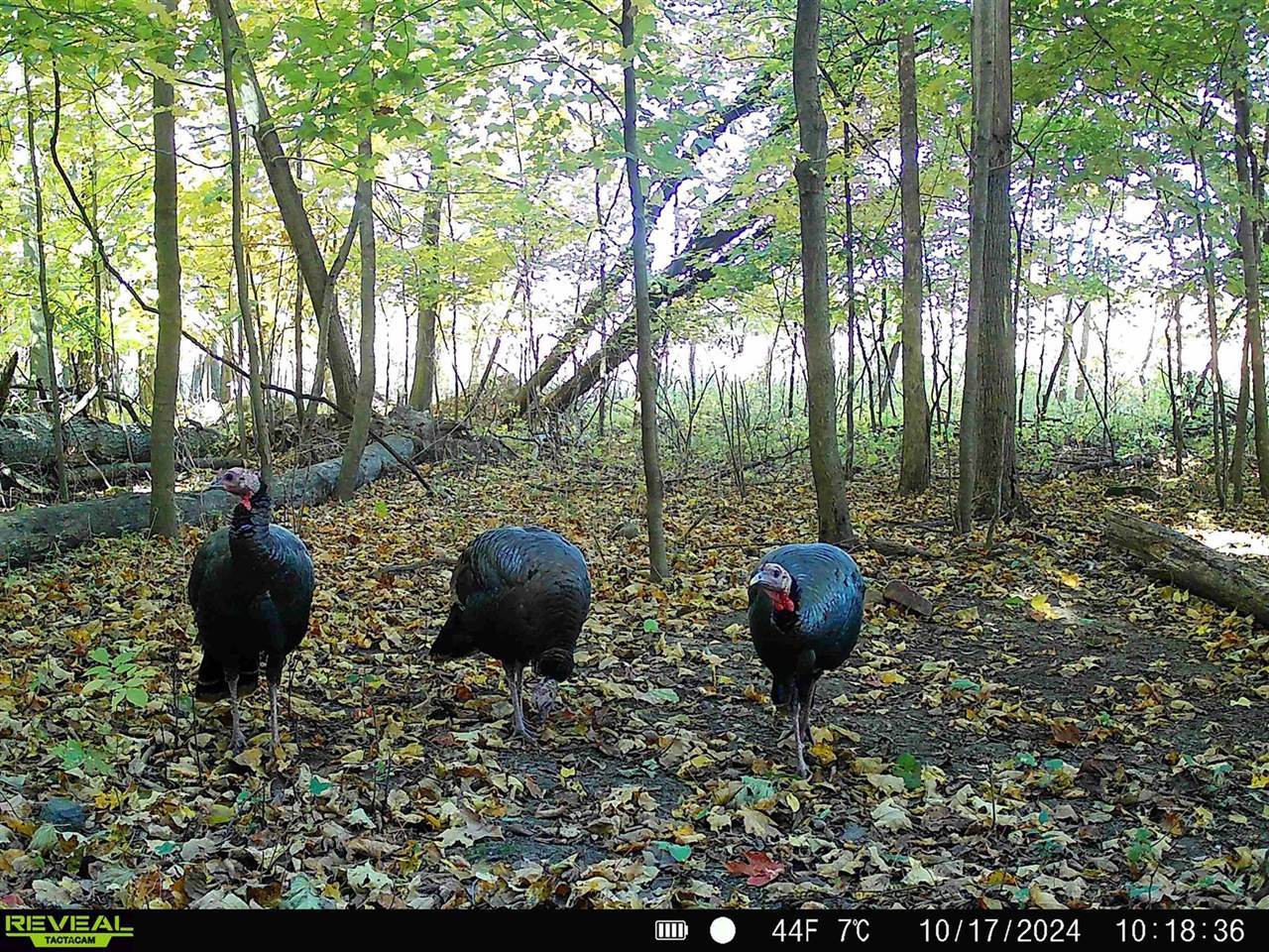 N3912 County Rd S, Plymouth, WI 53073